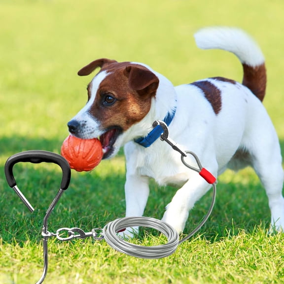 Pet Supplies Dog Tie Out Stake Kit Heavy Duty Metal Ground Stake for Outdoor Training Ground for Small to Medium Dogs