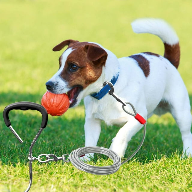 Pet Supplies Dog Tie Out Stake Kit Heavy Duty Metal Ground Stake for Outdoor Training and Secure Fencing with Tether Rope - Durable Steel Ground Pin for Small to Medium Dogs