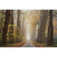 thumbnail image 3 of Podt, Martin 24x17 Black Modern Framed Museum Art Print Titled - Autumnal Moodiness, 3 of 5
