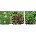thumbnail image 3 of Amturf Rapid Repair POD Brown Mulch, 15 lb with Moisture Retention, 3 of 5