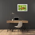 thumbnail image 3 of Day, Richard and Susan 24x17 White Modern Wood Framed Museum Art Print Titled - Monarch (Danaus plexippus) on Rattlesnake Master (Eryngium yuccifolium)-Marion County-Illinois, 3 of 4