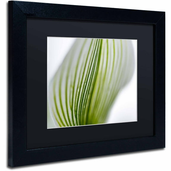Trademark Fine Art "Orchid Abstract Blurred Lines" Canvas Art by Kurt Shaffer, Black Matte, Black Frame