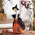 thumbnail image 4 of Halloween Goose Outfit Witch Lawn Porch Goose Clothes Fall Halloween Goose Costume for 23" Geese Outdoor Patio Yard Lawn Decoration, 4 of 8