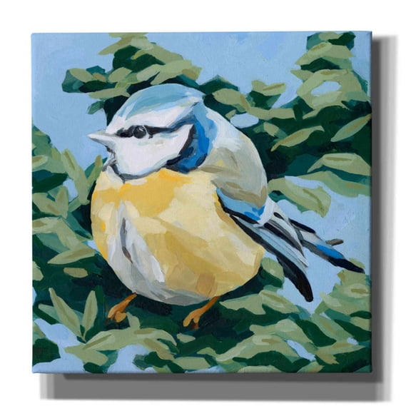 Epic Graffiti 'Painterly Bird II' by Emma Scarvey, Canvas Wall Art, 26"x26"