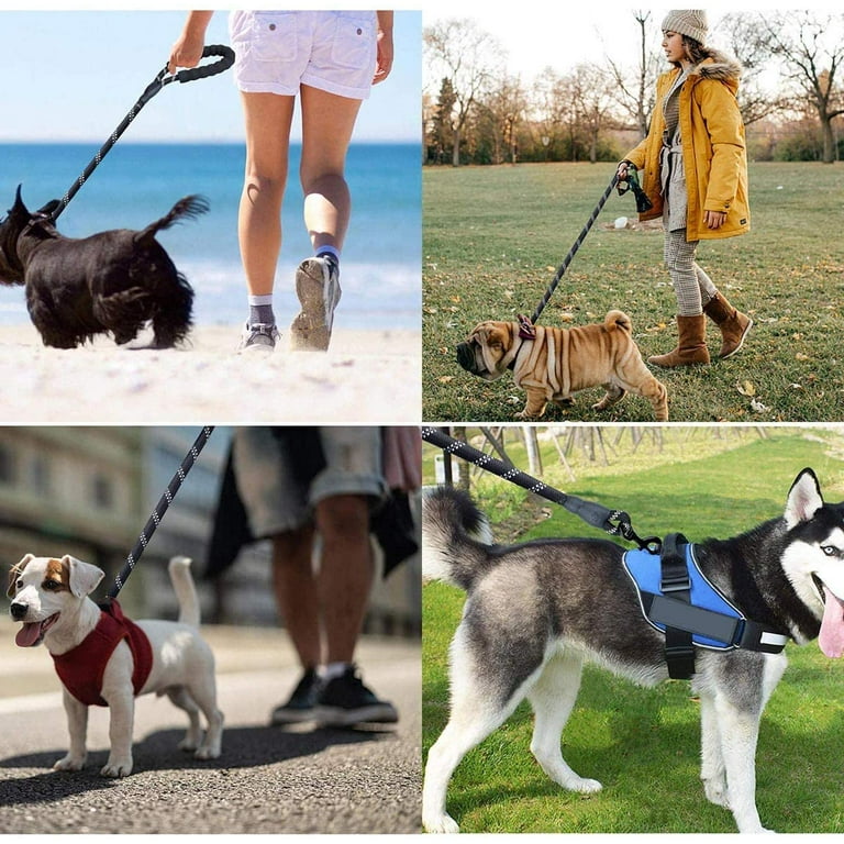 Dog Leash Dog Poop Bag and 5 FT Strong Dog Leash with Comfortable Padded Handle and Highly Reflective Threads for Small Medium and Large Dogs