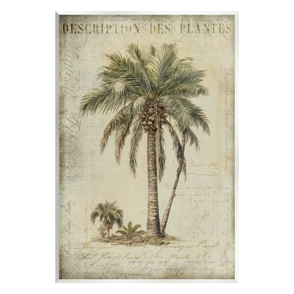 Stupell Industries Vintage Palm Tree Study Botanical & Floral Painting Unframed Art Print Wall Art, 10 x 15