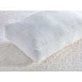 thumbnail image 2 of Beyond Down Side Sleeper Pillows, 2-pack, King, 2 of 6