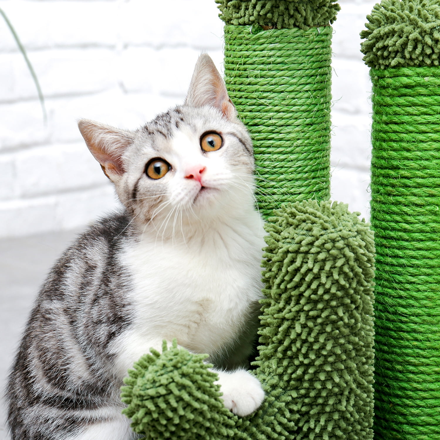 PAWZ Road 27" Cactus Cat Scratching Posts Sisal Cat Scratcher Green Large