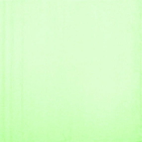 Ahgly Company Indoor Square Solid Green Modern Area Rugs, 5' Square