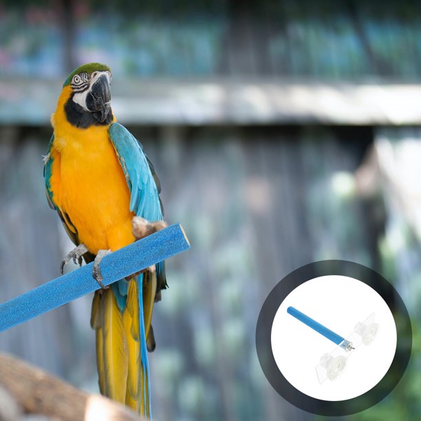 unbranded Percha Para Pájaros Con Ventosa Color Azul Para Ejercicio Y Entretenimiento De Mascotas