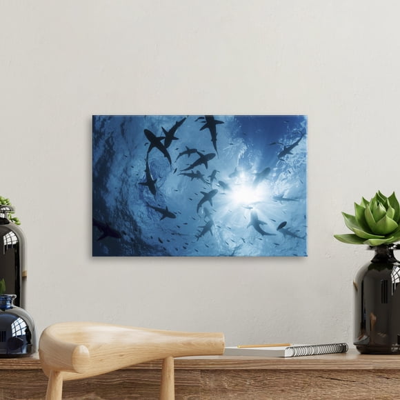 Printscapes Art Mural sur Toile 18 Pouces x 12 Pouces - École de Requins de Récif Gris au Large de l'Le de Yap, Micronésie par Dave Fleetham