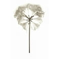thumbnail image 2 of Blaustein, Alan 17x24 Black Ornate Wood Framed with Double Matting Museum Art Print Titled - Garden Bloom - 11, 2 of 4