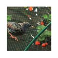 thumbnail image 2 of 4 x 6 m Red Verde para pájaros Red para Estanques de jardín para Plantas Red Protectora de Malla, 2 of 5