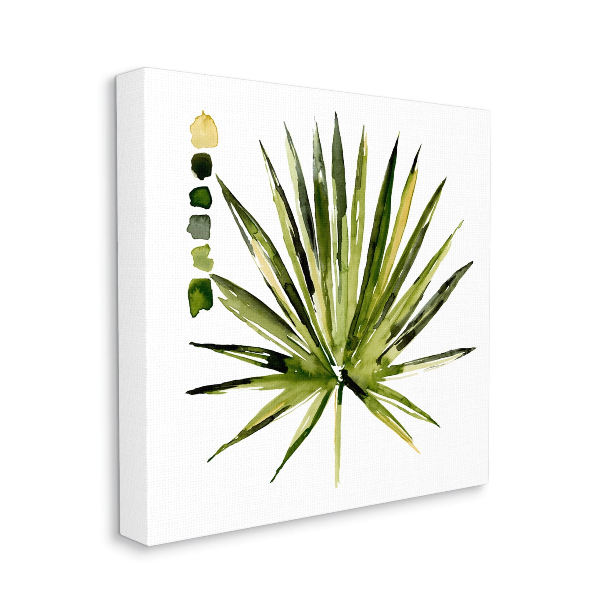 Stupell Industries Succulent Aloe Plant Spiky Leaves Abstract Paint Scale,17 x 17, Design by Jennifer Paxton Parker