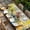 Wheat, variant on Spring Table Cloths for 6 Foot Rectangle Tables, Brown Vintage Birds Cages Eggs Flowers Herbs Patio Waterproof Elastic Fitted Tablecloths, Washable Rectangular Table Cover for Camping