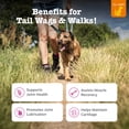 thumbnail image 3 of Zesty Paws Hip & Joint Bites Duck Flavor Dog Supplement, 90 Count, 3 of 11