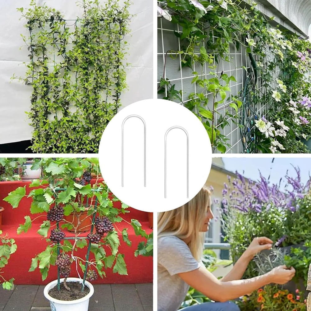 Ana Elegant Design Plant Support Trellis Set of 2 with Installation StrapsHome Decor