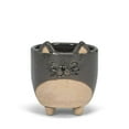 thumbnail image 1 of 3 in. Cat on Legs Planter, Grey - Small, 1 of 1