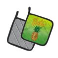 thumbnail image 2 of Carolines Treasures BB7451PTHD Aloha Pineapple Welcome Pair of Pot Holders , 7.5HX7.5W, multicolor, 2 of 3