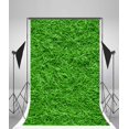 thumbnail image 1 of Telón de fondo Fotografía 150x220cm ABPHQTO Campo de hierba verde Primavera Animación Paisaje artístico para Niños, 1 of 3