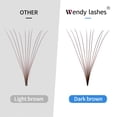 thumbnail image 2 of Extensiones de pestañas con volumen WENDY LASHES 10D, 0,07 mm, 9-16 mm, 500 unidades, 2 of 7