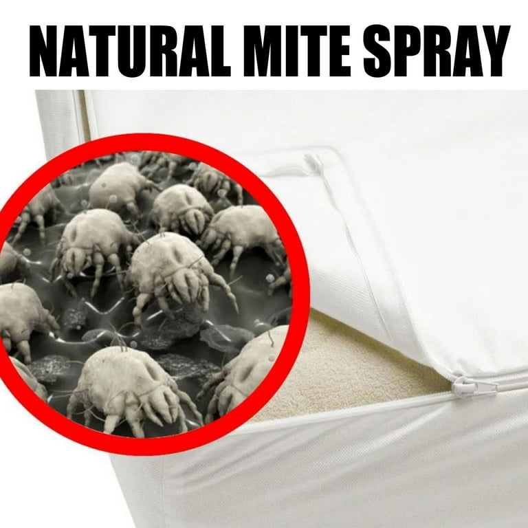 Do Dust Mites Bite?  The Family Handyman