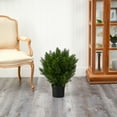 thumbnail image 5 of Nearly Natural 2' Cedar Bush Artificial Plant (Indoor/Outdoor), Green, 5 of 6