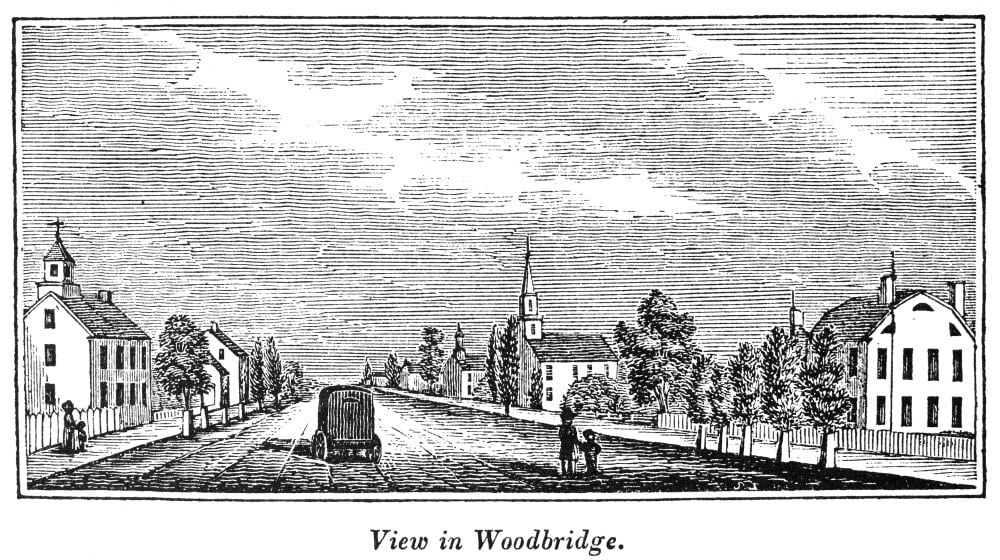 New Jersey Woodbridge. /Nview In Woodbridge, New Jersey. Wood