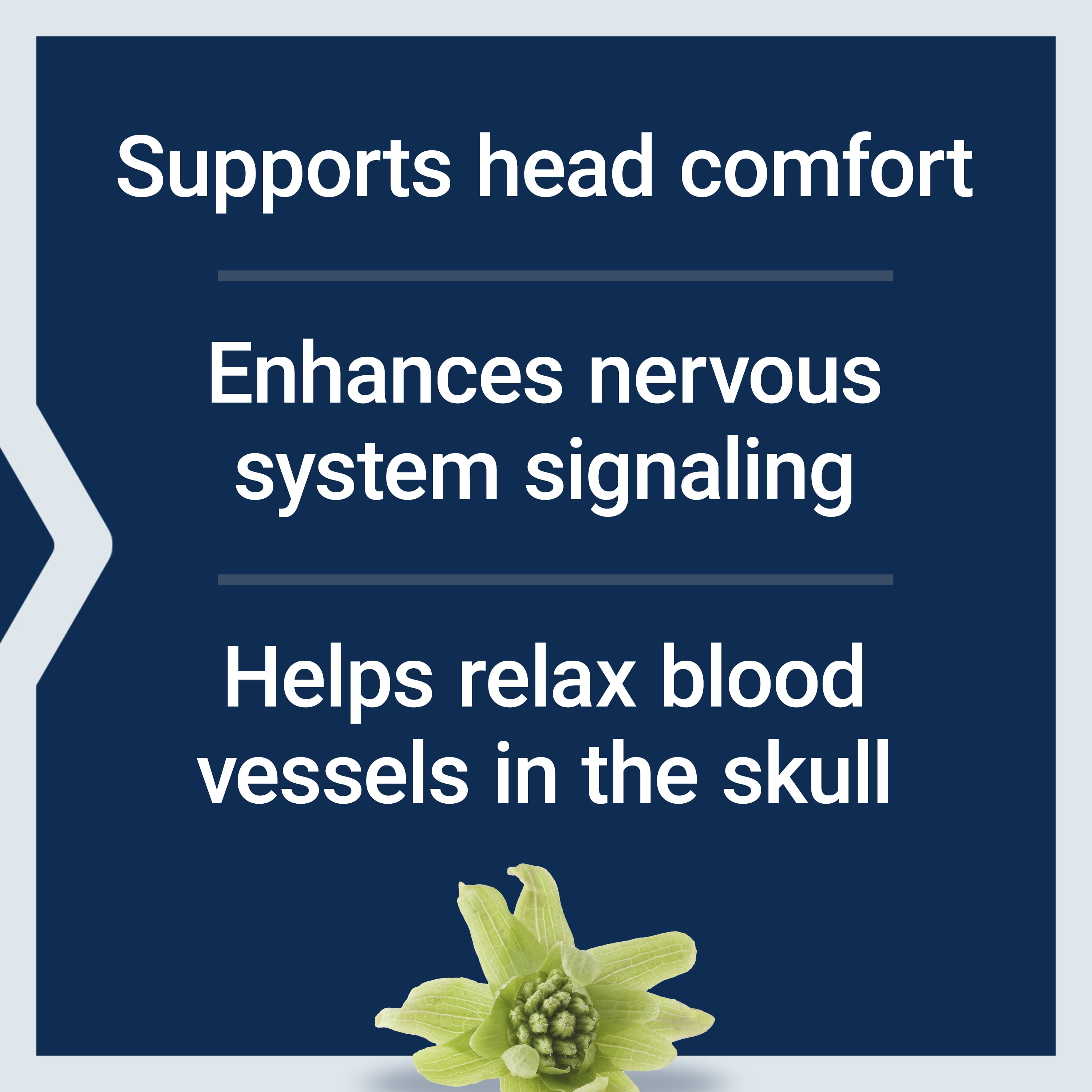 Life Extension Migra-Eeze™, helps relieve general head discomfort, butterbur, ginger, riboflavin, gluten-free, 60 softgels