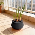 thumbnail image 4 of Contemporary Hydroponic Onion Grower Enhancing Indoor Spaces With Green And Easyly Multipurpose Hydroponics, 4 of 4