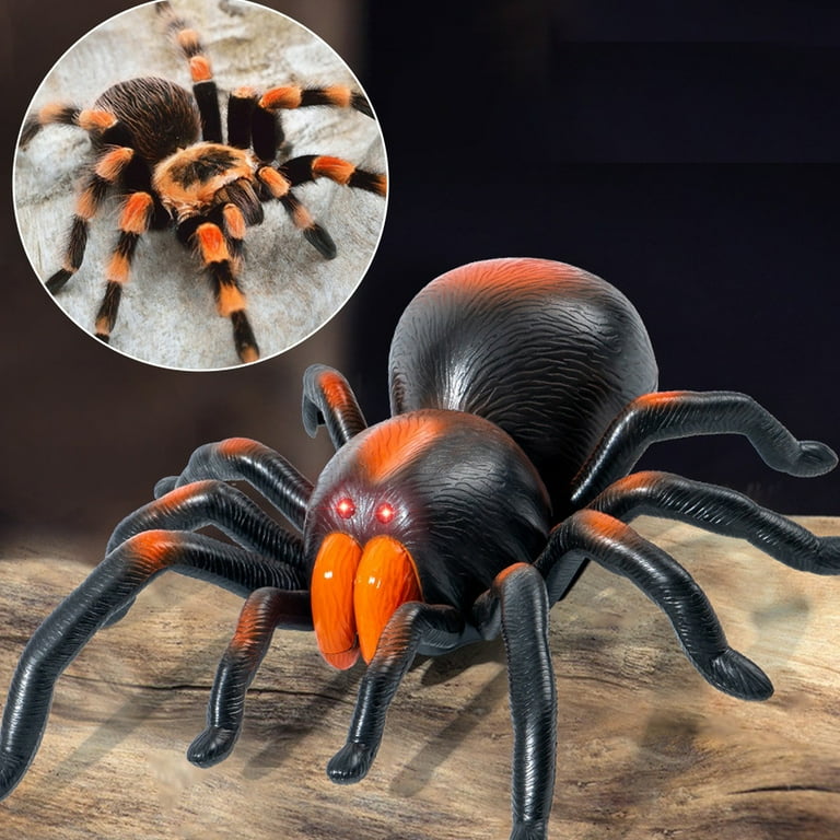 Araignée RC Tarantula, Commandez facilement en ligne