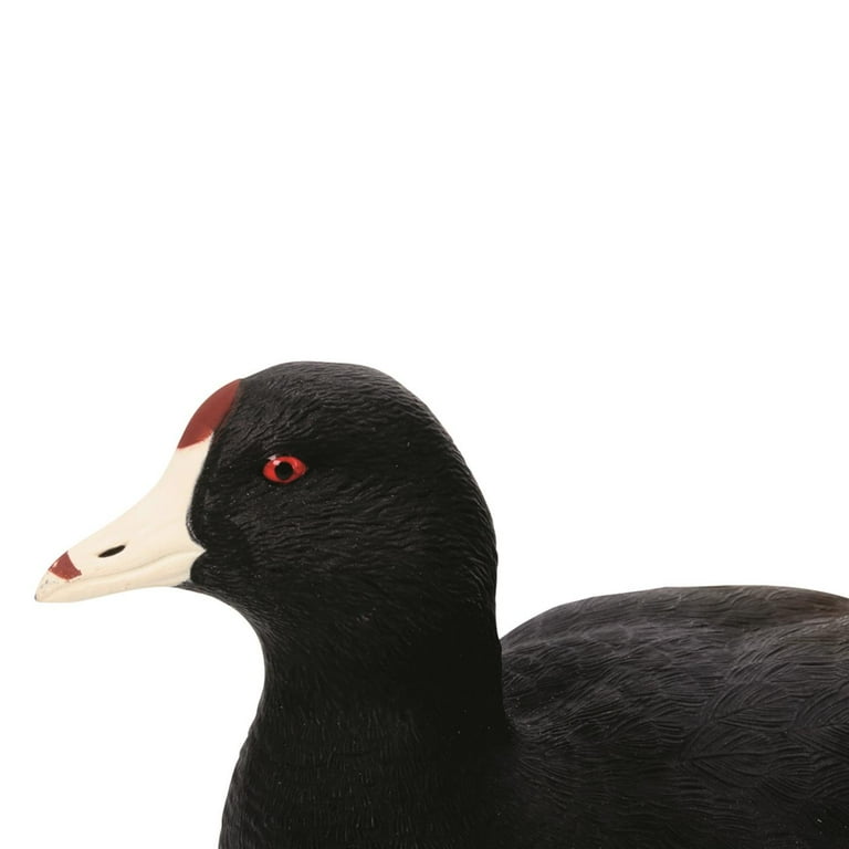 Coot Duck Hunting Decoys Buy Prices