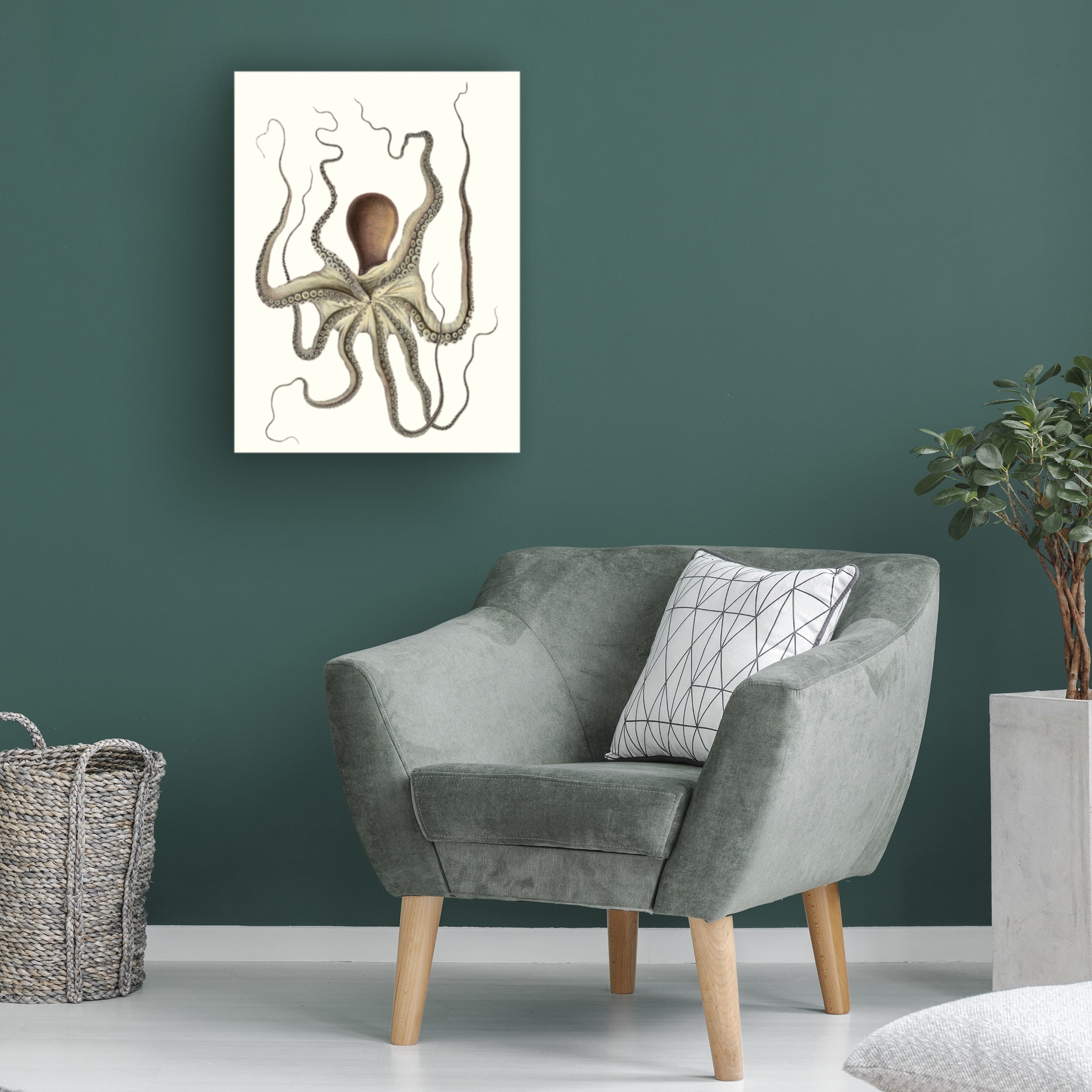 Unknown 'Antique Octopus Collection I' Canvas Art
