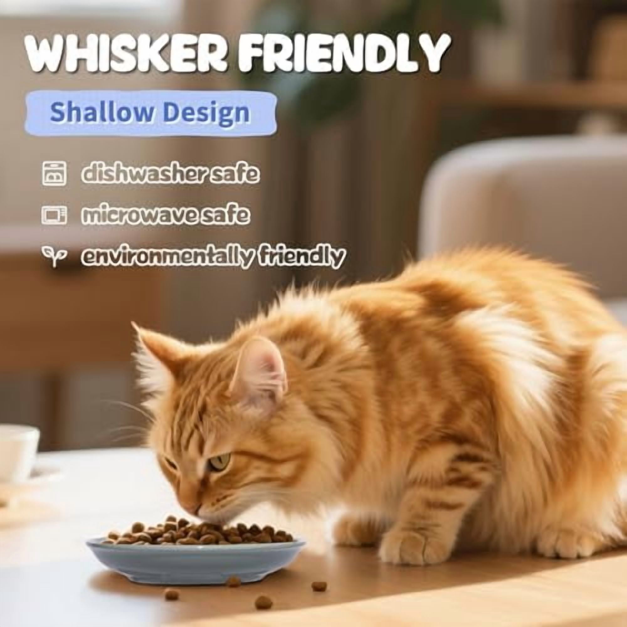 [8 Pack] Ceramic Cat Food Bowl, Colorful Cat Bowls Whisker-Friendly, 5.9" Shallow Wide Kitten Plates, Easy to Clean Indoor Feeding Dishes