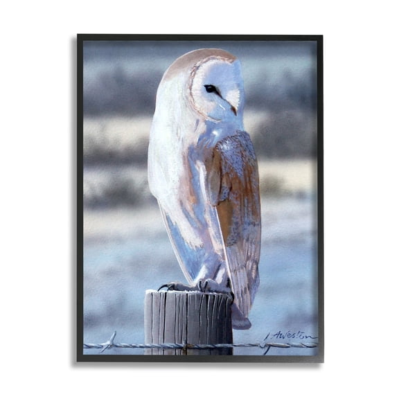 Stupell Industries Serene Barn Owl Perched Snow Dusted Fence Photograph Black Framed Art Print Wall Art, Design by Alan Weston