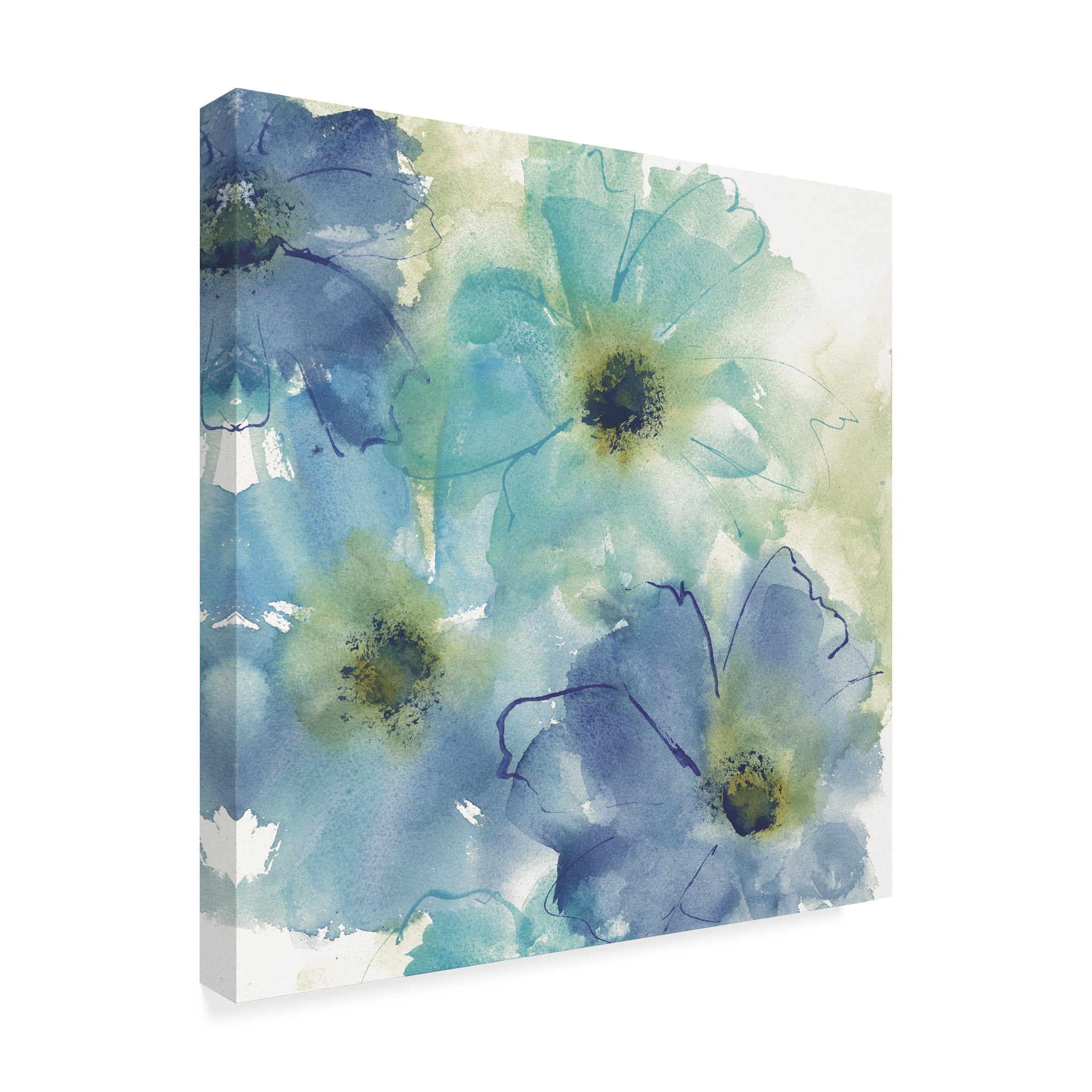 Trademark Fine Art 'Seashell Cosmos II White' Canvas Art by Chris Paschke