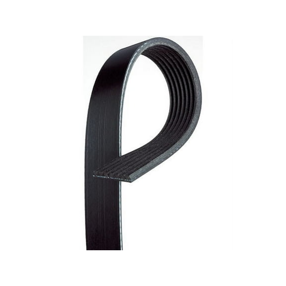 Air Conditioning and Alternator Multi Rib Belt - Compatible with 2012 - 2017 Buick Verano 2013 2014 2015 2016