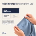 thumbnail image 3 of Blissy 100% Mulberry Silk Pillowcase for Hair and Skin, 22 Momme Grade 6A Silk Pillow Case with Hidden Zipper, Standard, Ash Blue, 3 of 8