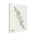 thumbnail image 2 of Grace Popp 'Gladiola Sketch I' Canvas Art, 2 of 4
