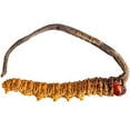 thumbnail image 4 of Cultures de Champignons Gourmet et Médicinales (Cordyceps Sinensis), 4 of 4