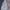 Navy, variant on Dalrosia Shawl Wraps for Women Evening Dresses Elegant Wedding Formal Shawls and Wraps Shoulder Cover Pashmina Scarf Wraps