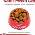 thumbnail image 2 of Royal Canin Breed Health Nutrition Great Dane Adult Dry Dog Food 30 lbs., 2 of 2