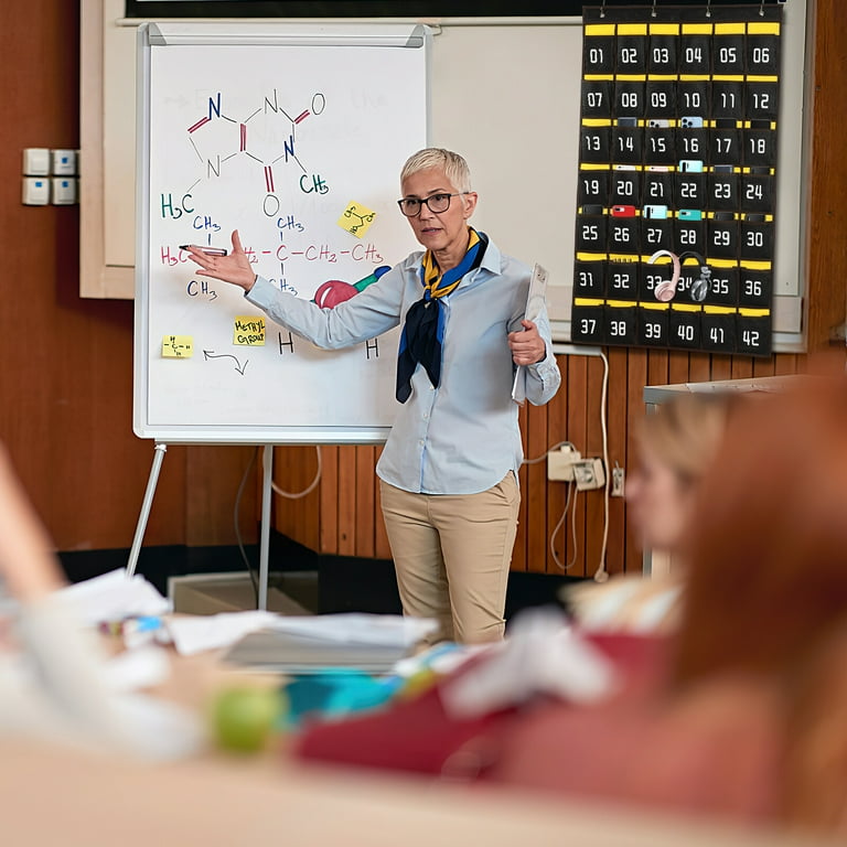 Tableau De Poche De Rangement Robuste Pour Salle De Classe Avec 20 Poches Pour Etiquettes 4 Crochets De Porte Inclus Organiseur De Fichiers Mural A Suspendre Pour Dossiers Affectations Fichiers
