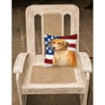 thumbnail image 2 of Carolines Treasures BB9676PW1818 Rhodesian Ridgeback Patriotic Fabric Decorative Pillow  18H x18W multicolor, 2 of 2