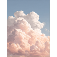 thumbnail image 1 of Toile Murale Nuage Rose Doux 15,75 X 11,81 Pouces, 1 of 8