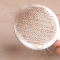 thumbnail image 3 of Dog Brush, Pet Grooming Comb Long Handle  for Deshedding Pink,Blue,Gray, 3 of 7