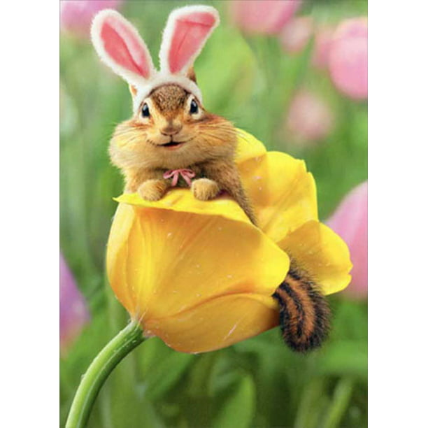 Avanti Press Chipmunk Bunny In Tulip Easter Card