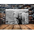 thumbnail image 2 of Aaheei Animal Wall Art Farmhouse Style Highland Cow Black and White Canvas Poster Highland Cow Decor Modern Living Room Wall Decor Naughty Cow Wall Arted With for Hanging, 2 of 4