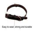 thumbnail image 3 of ROAM Premium Dog Collar - Adjustable Heavy Duty Nylon Collar with Quick-Release Metal Buckle, 3 of 5