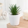 thumbnail image 6 of Leodye 1PCS Small Artificial Plastic Potted Plant with White Pot Mini Faux Greenery Arrangement for Kitchen Table Bar office Indoor Decor -3.54x2.36x2.36in, 6 of 6